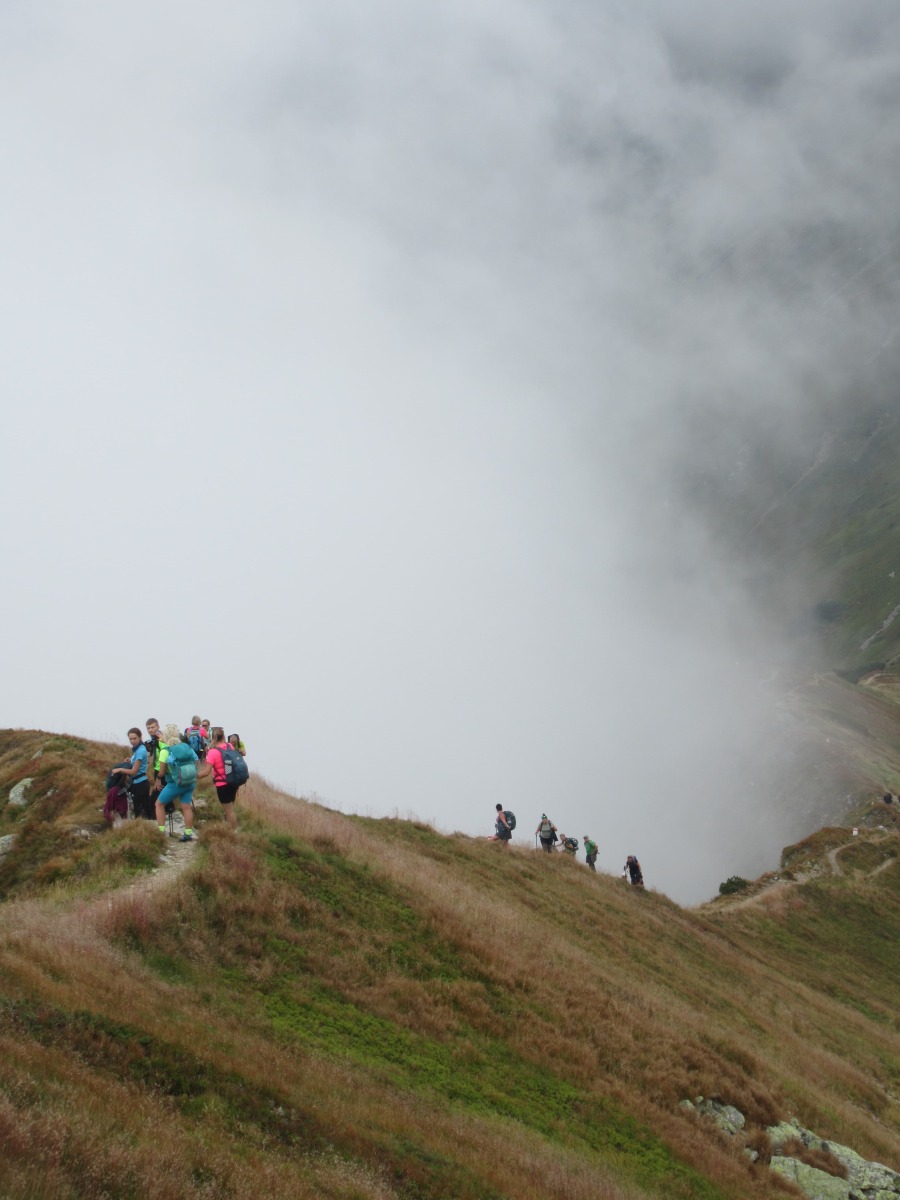 IMG-20260829-WA0088