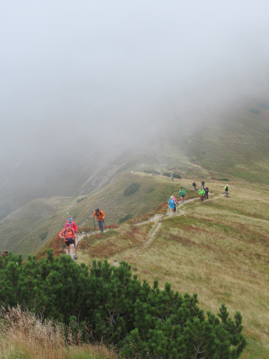 IMG-20260830-WA0049