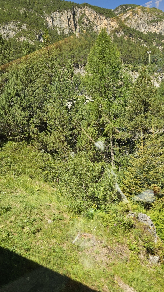 20260730_110652